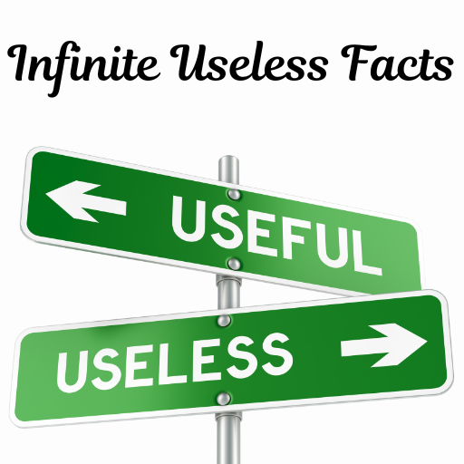 Infinite Useless Facts